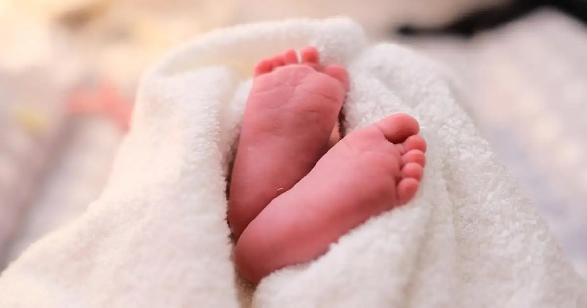 പ്രവസത്തിനിടെ കുഞ്ഞ് മരിച്ചു; ചിറ്റൂർ താലൂക്ക് ആശുപത്രിക്കെതിരെ ചികിത്സാ പിഴവ് പരാതി