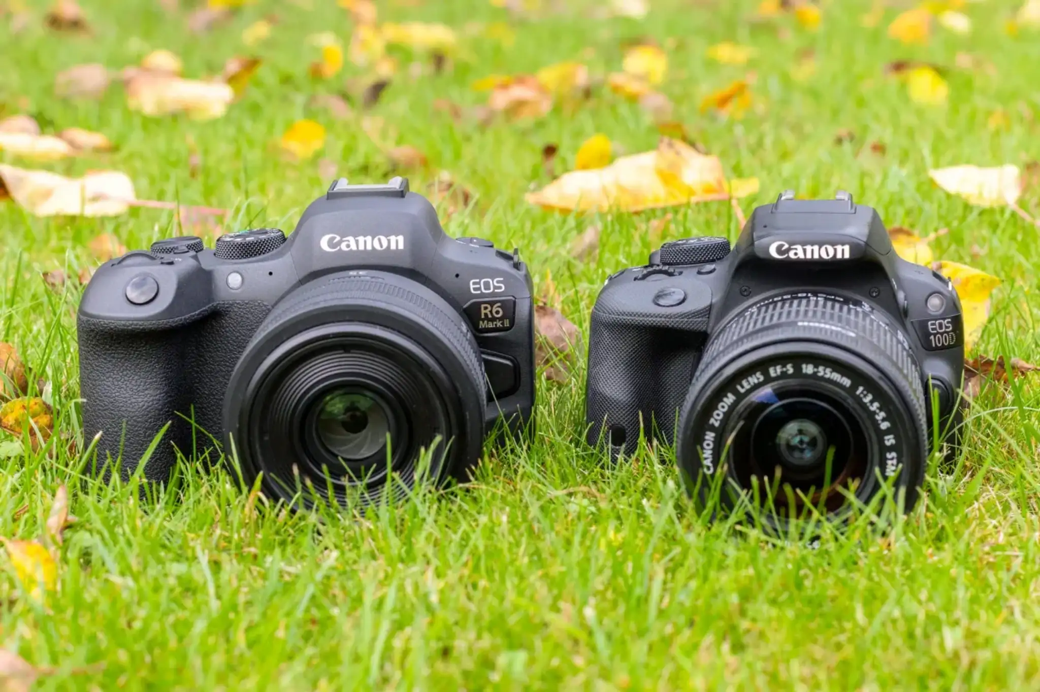 എന്തുകൊണ്ട് ഞാൻ കാനൻ DSLR ഉപേക്ഷിച്ച് പുതിയ മിറർലെസ്സ് ക്യാമറ തിരഞ്ഞെടുത്തു