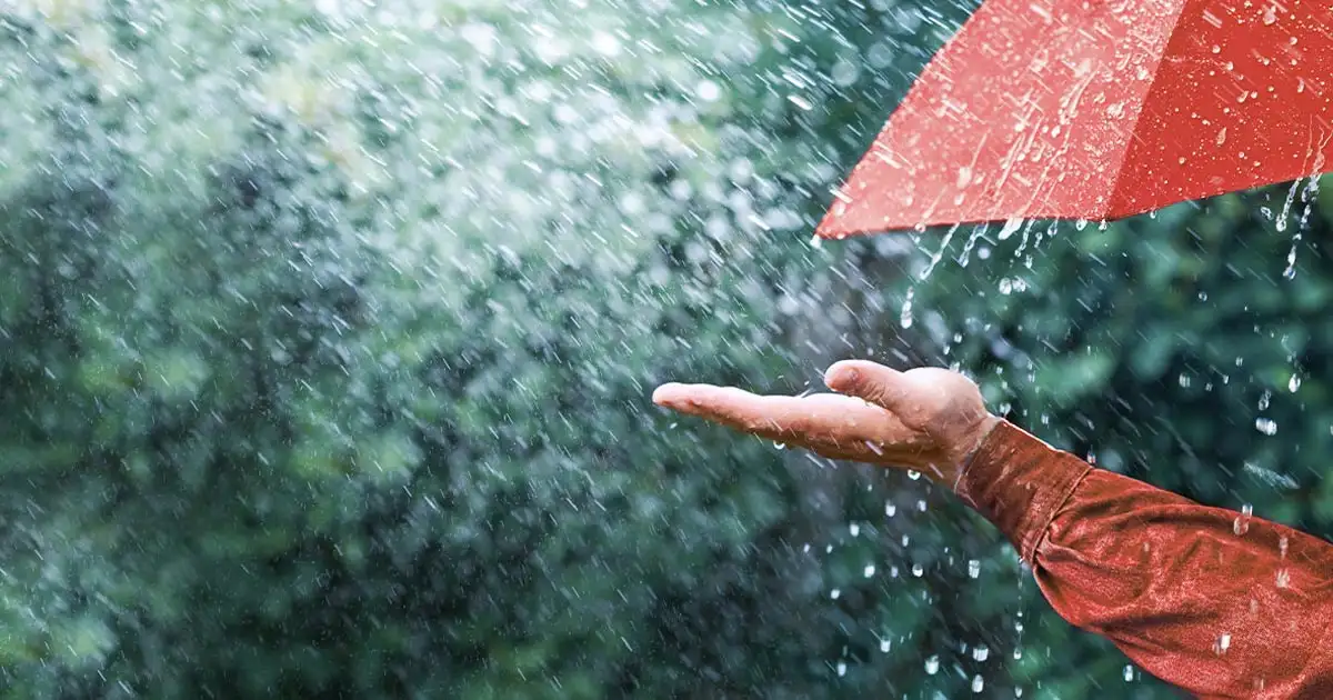 ഒറ്റപ്പെട്ട ശക്തമായ മഴയ്ക്ക് സാധ്യത; മൂന്ന് ജില്ലകളിൽ യെല്ലോ അലർട്ട്