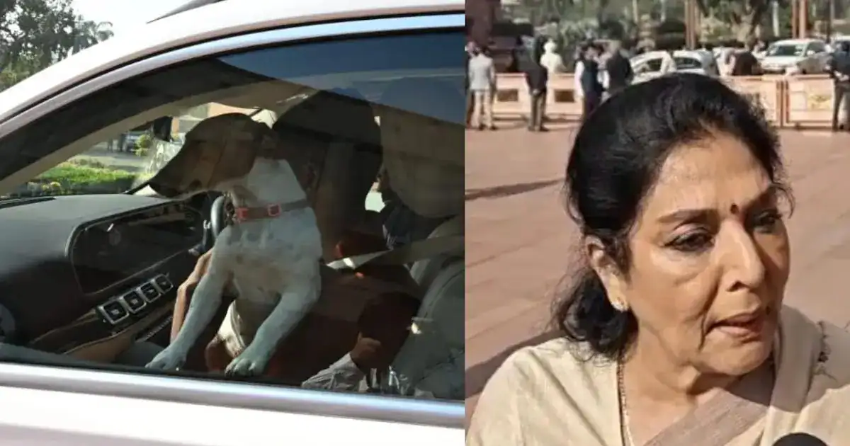 കോൺഗ്രസ് വനിതാ എംപി നായയുമായി പാർലമെന്റിൽ; വഴിയിൽ നിന്ന് കിട്ടിയതെന്ന് വിശദീകരണം